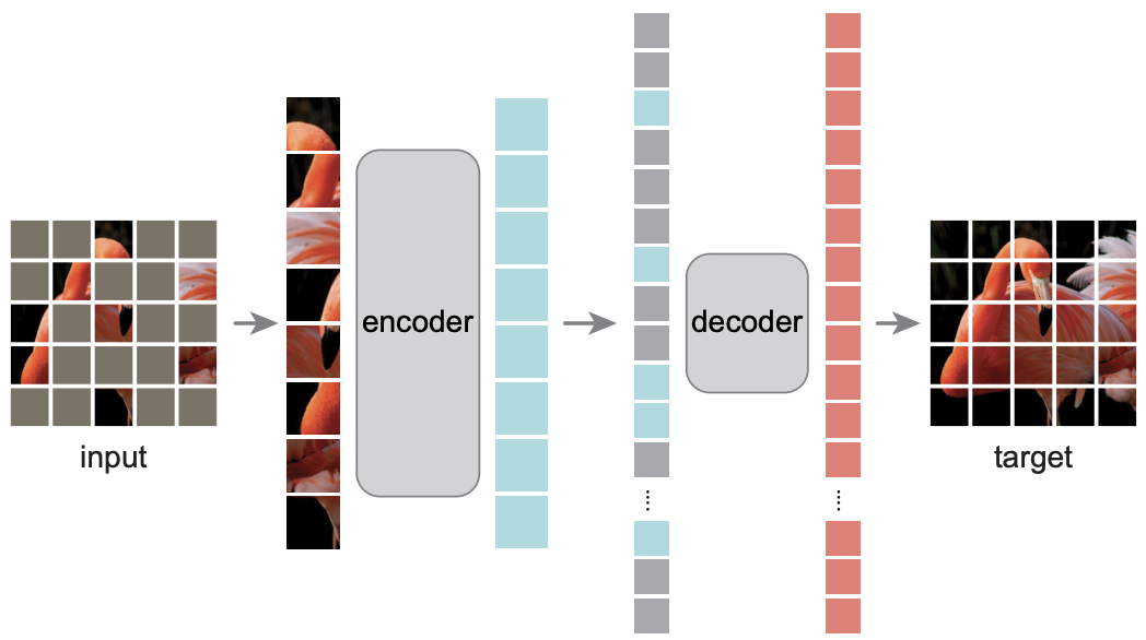 Masked Autoencoder 从遮掉 75% 像素的输入重建原图
