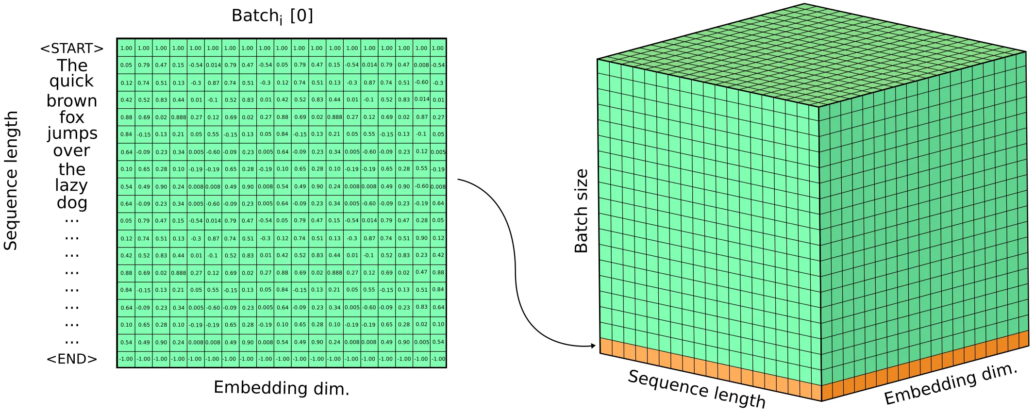 illustration of the source input tensor